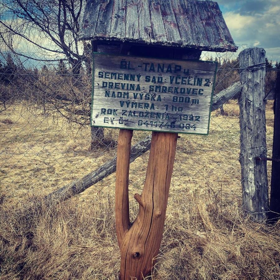 Penzion Bado Стара-Лесна Экстерьер фото