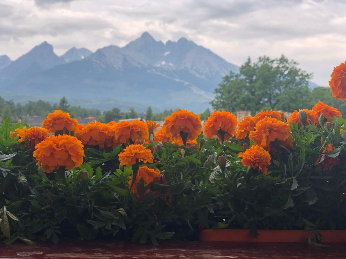 Penzion Bado Стара-Лесна Экстерьер фото